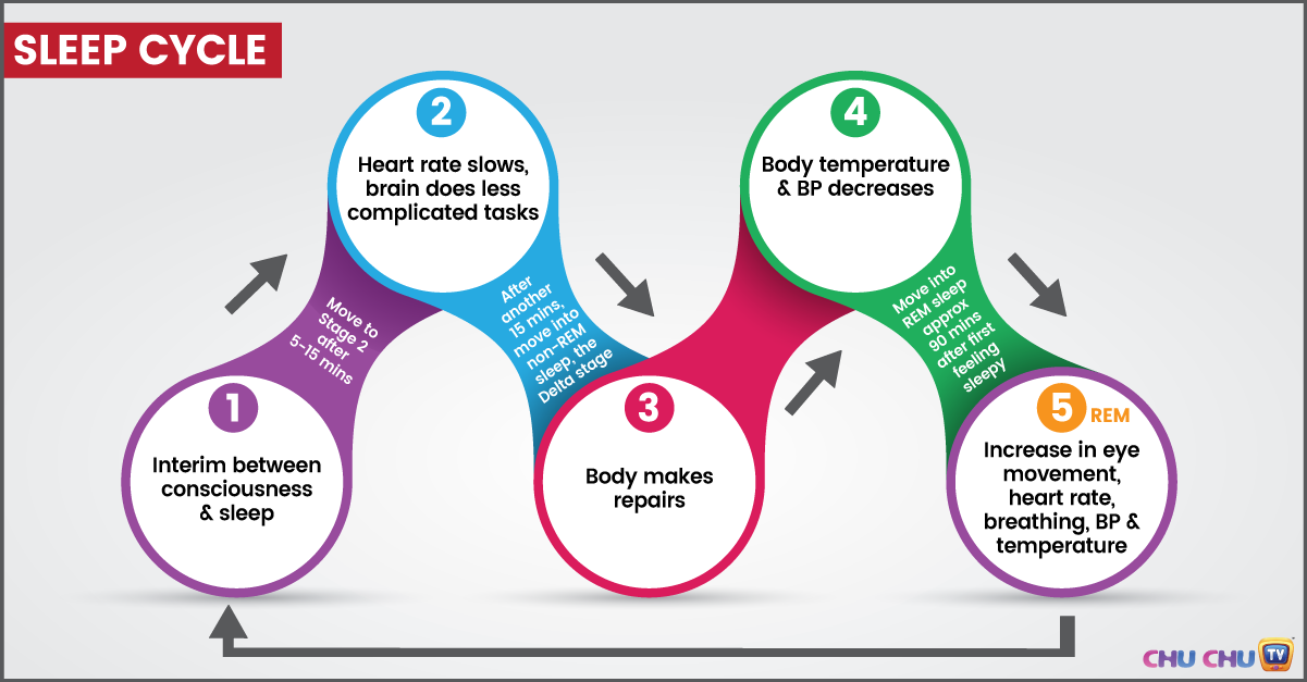 understanding-sleep-cycles-and-how-to-improve-sleep-myfitnesspal