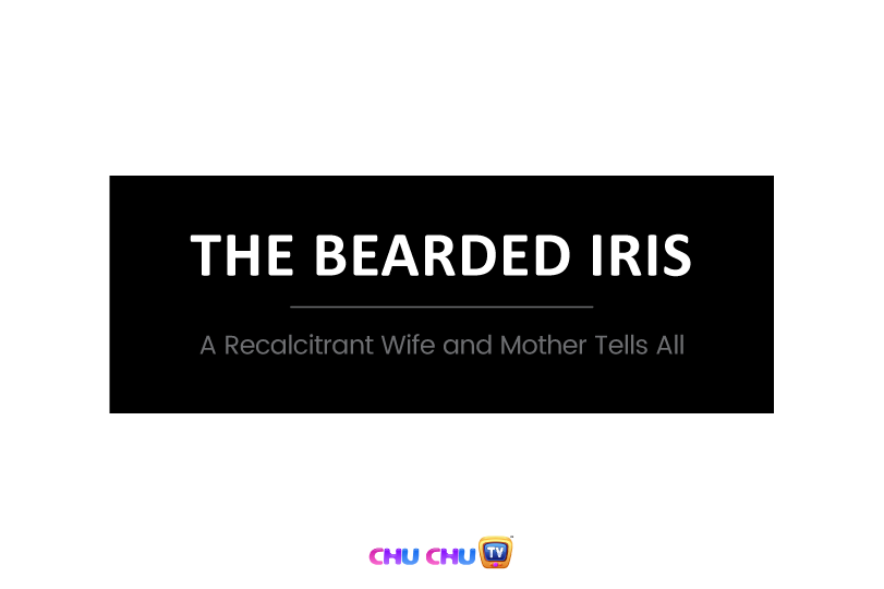 The bearded Iris